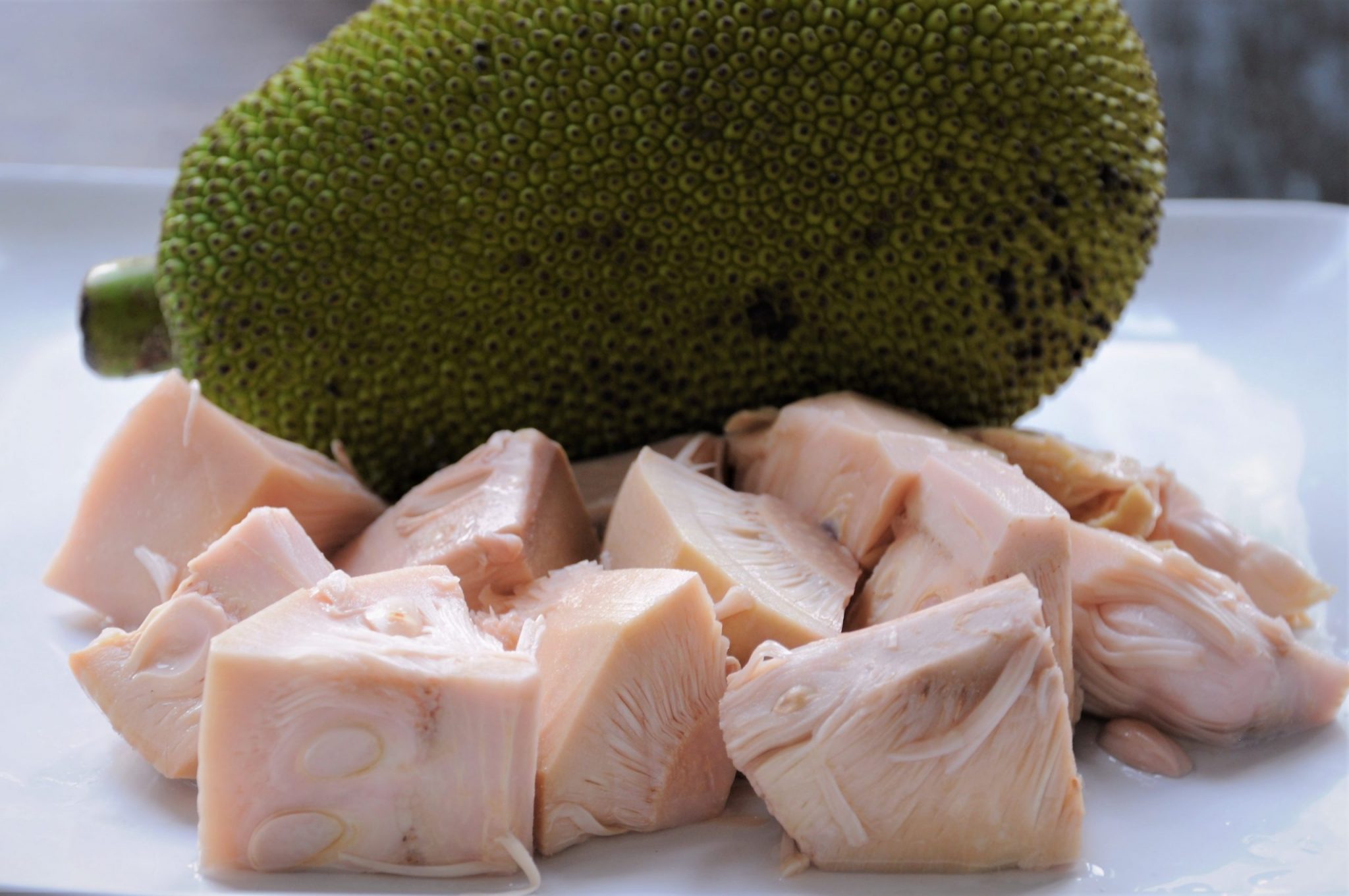 Jackfruit ¿Qué es en realidad? Bio JackFruit