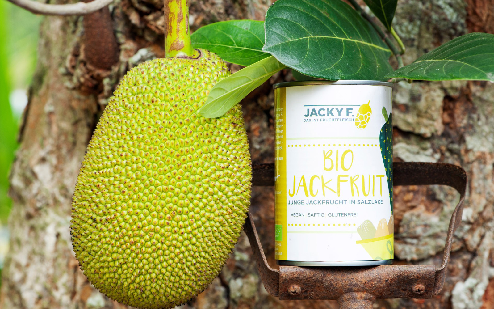 Bio Jackfruit envío gratis